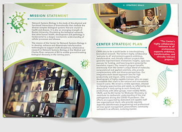 Design & art direction for CNSB annual report at Boston University for Research Outreach by Nick McKay, spread