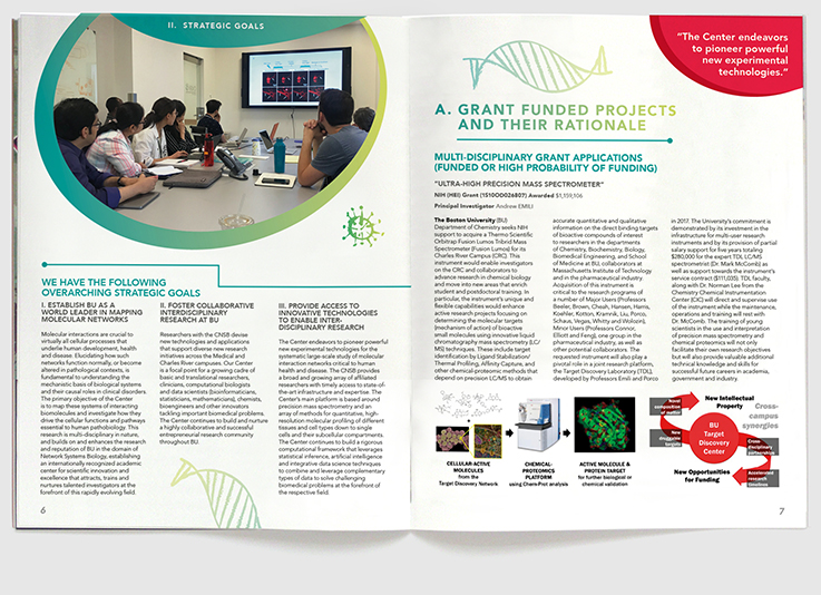 Design & art direction for CNSB annual report at Boston University for Research Outreach by Nick McKay, spread