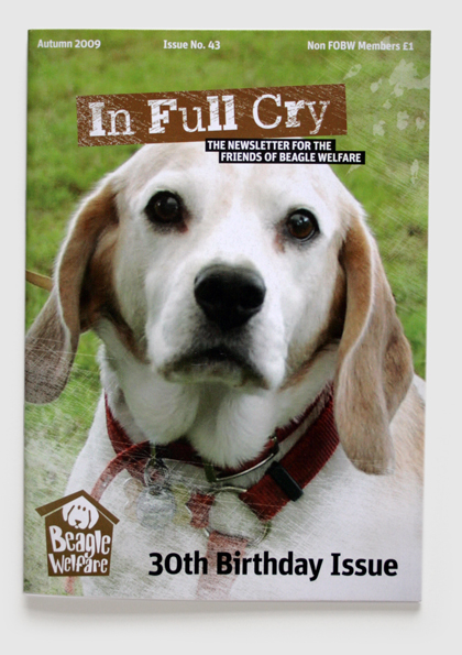 Branding, design & art direction of newsletter for the Beagle Welfare charity by Nick McKay. Newsletter cover