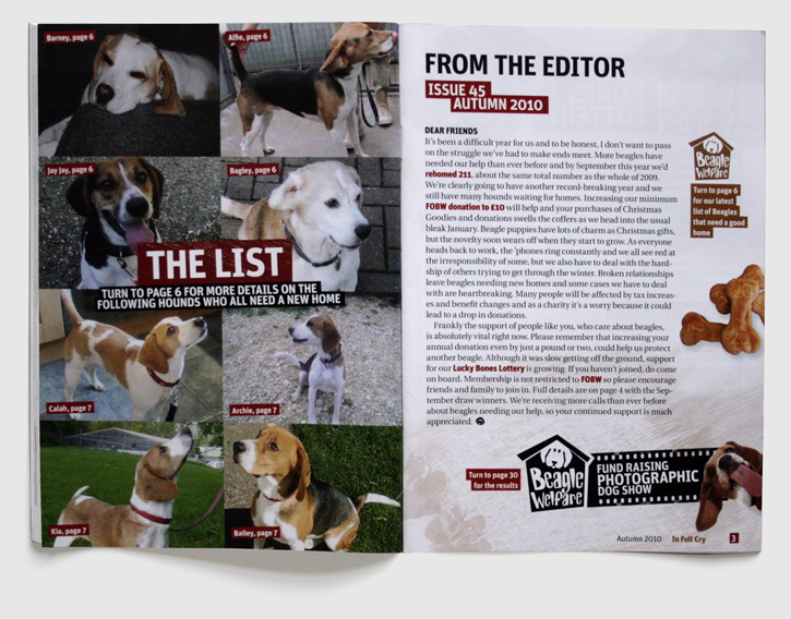 Branding, design & art direction of newsletter for the Beagle Welfare charity by Nick McKay. Page 2-3