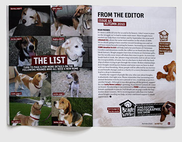 Branding, design & art direction of newsletter for the Beagle Welfare charity by Nick McKay. Page 2-3