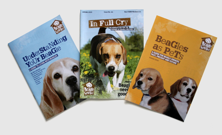 Branding, design & art direction of promotional brochures for Beagle Welfare charity by Nick McKay.