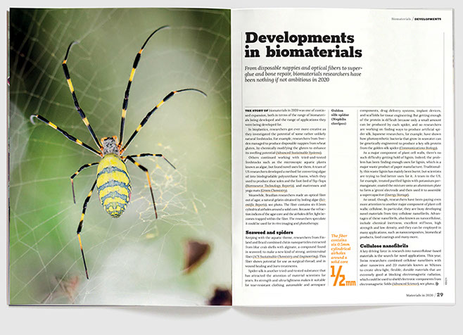 Design & art direction of annual magazine, Materials in 2020 by Nick McKay. Biomaterials