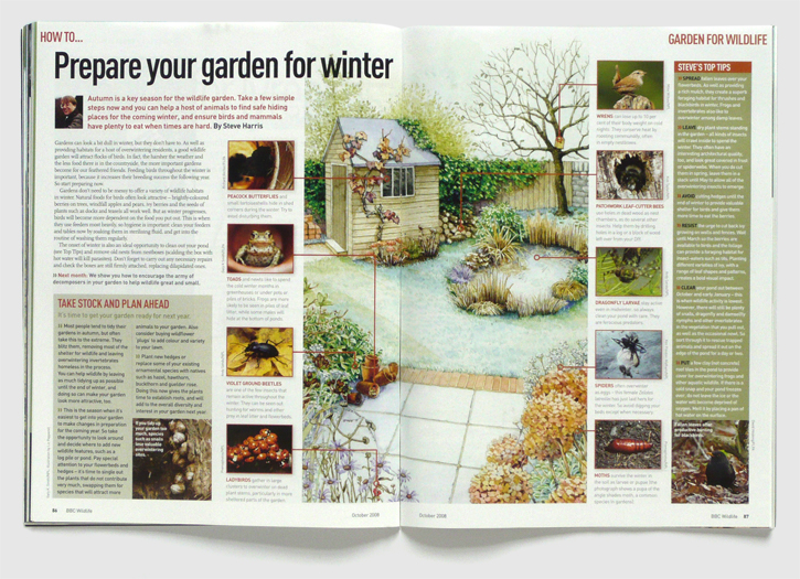 Design for BBC Wildlife magazine by Nick McKay, garden wildlife spread